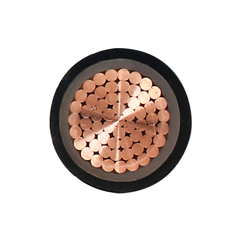 EV nabíjací kábel pre menovité napätie 450/750 V