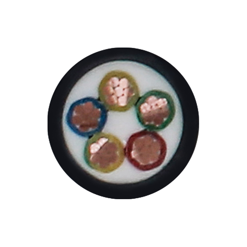 EV nabíjací kábel pre menovité napätie 450/750 V