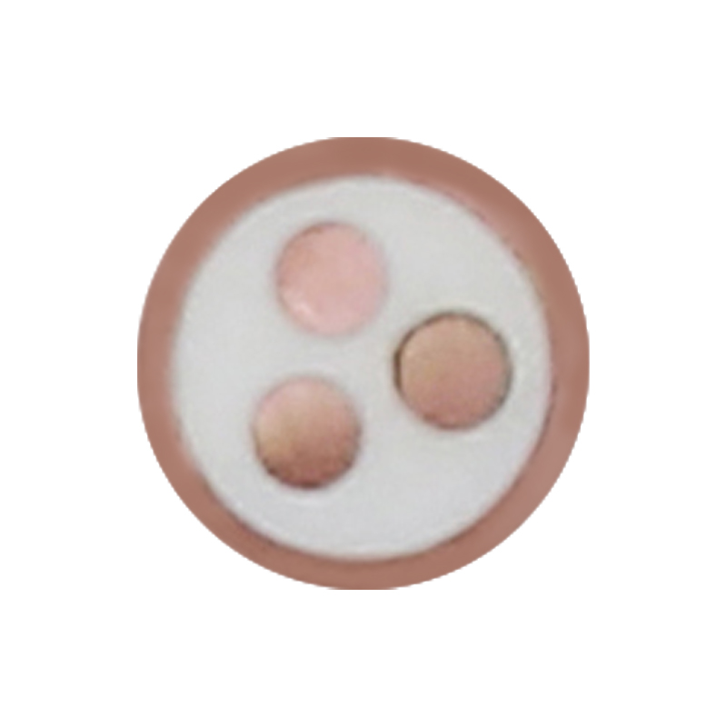 EV nabíjací kábel pre menovité napätie 450/750 V