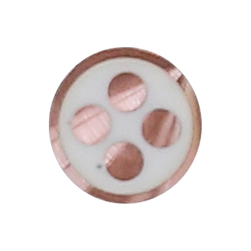 EV nabíjací kábel pre menovité napätie 450/750 V